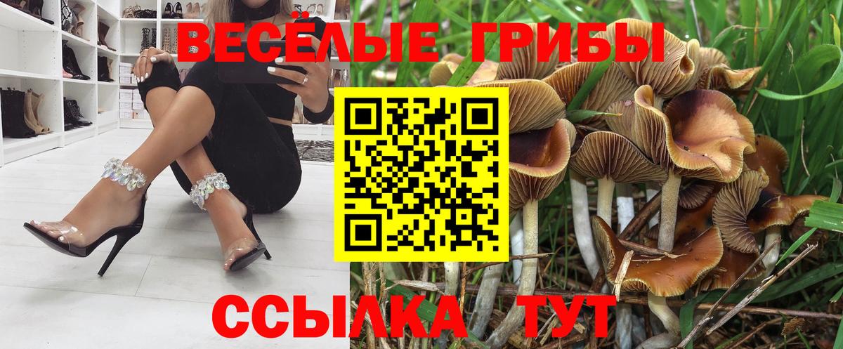 Галлюциногенные грибы MAGIC MUSHROOMS Долгопрудный