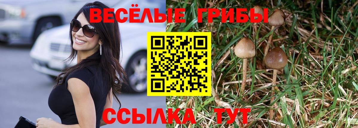 наркотики  Галлюциногенные грибы Psilocybine cubensis  Вход с VPN  Долгопрудный 